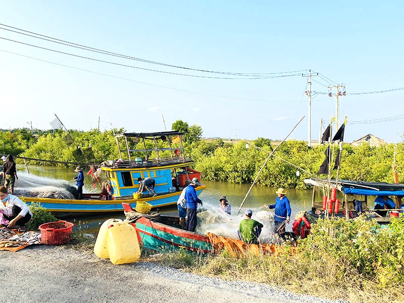 Ngư dân trở về sau đêm dài, mang theo thành quả ra chợ.