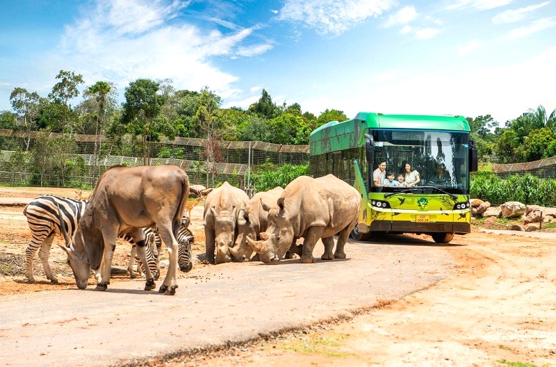 Gặp gỡ động vật hoang dã tại Vinpearl Safari Phú Quốc.