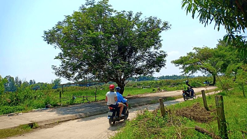 Khung cảnh đồng nội xanh rì, con đường quê in dấu trong tâm trí bạn mãi về sau.