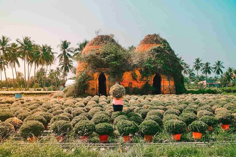 Cái Mơn nổi tiếng với vườn trái cây và làng hoa kiểng rực rỡ.