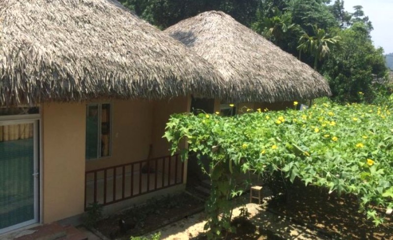 Chung Thúy homestay: Trải nghiệm văn hóa Hà Giang.