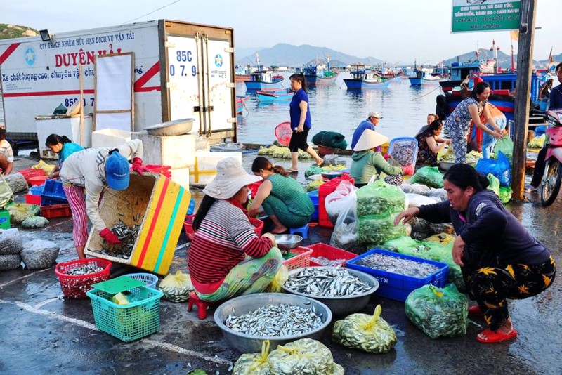 Bình Ba: Hải sản tươi ngon, muôn hình vạn trạng.