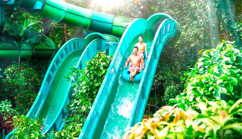 Vui chơi thỏa thích ở 7 khu trò chơi dưới nước tại Adventure Cove Waterpark!