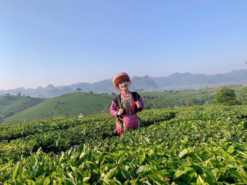 Nụ cười rạng rỡ của Phương Liên tô điểm cho khung cảnh đồi chè Mộc Châu.