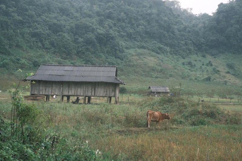 Làng Nguyên Thủy đẹp đến ngỡ ngàng.