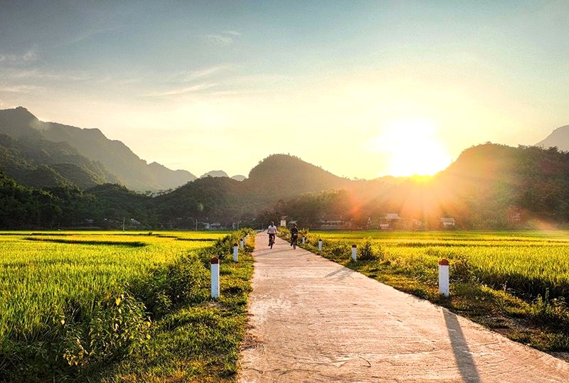 Hoàng hôn nhuộm vàng Bản Lác, ruộng lúa lung linh huyền ảo.