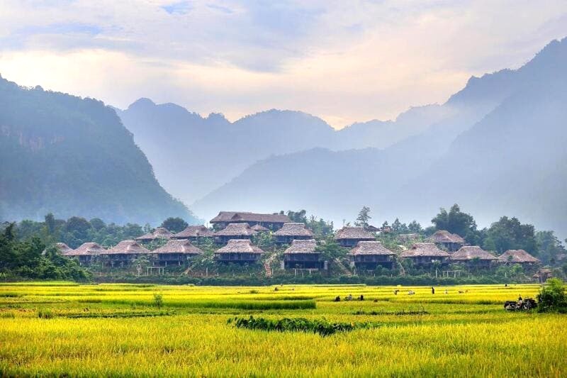 Mai Châu Ecolodge: Nơi nghỉ dưỡng giữa núi rừng Tây Bắc.