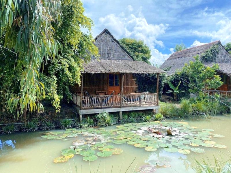 Homestay view hồ sen tuyệt đẹp.