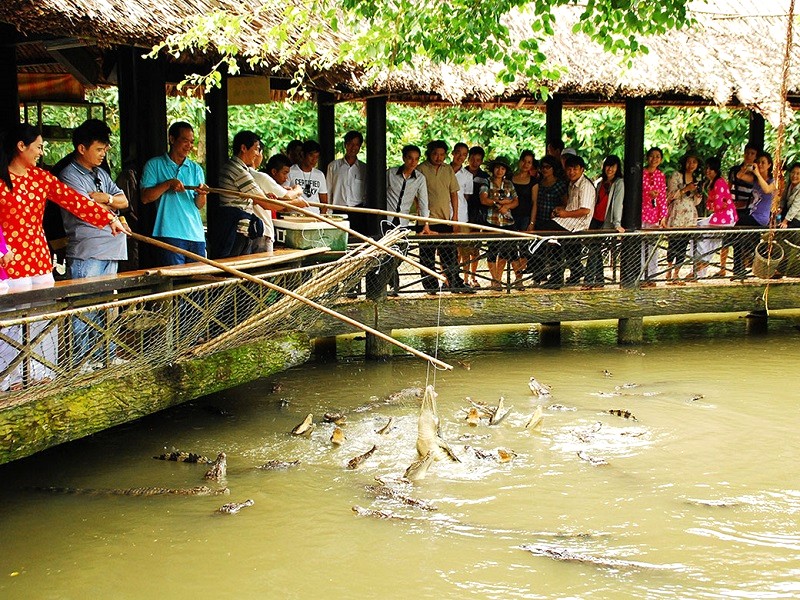 Câu cá sấu Mỹ Khánh, Cần Thơ