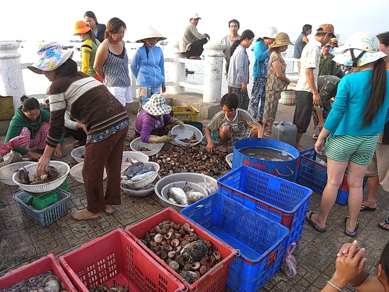 Nha Trang: Cá biển tươi ngon, đủ loại.