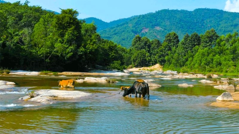 Suối Đá Giăng thuộc khu bảo tồn Hòn Bà.