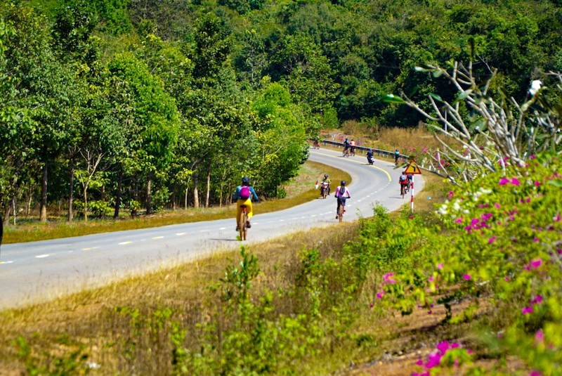 Rừng Mã Đà mê hoặc với rừng nguyên sinh, không khí trong lành và tiếng chim muông rộn ràng.