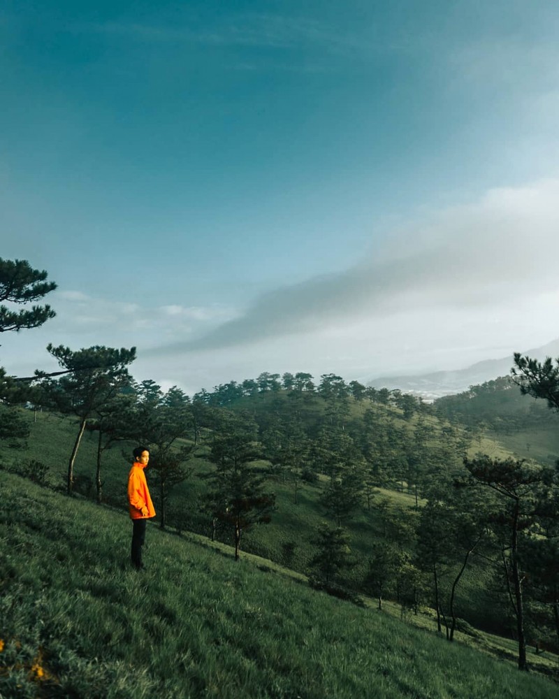 Tháng Tám Đà Lạt: Mưa bất chợt, lý tưởng cho tâm hồn mơ mộng.