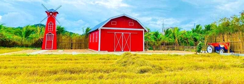 Tháp Chàm Farm: Thiên đường sống ảo cho tín đồ du lịch.