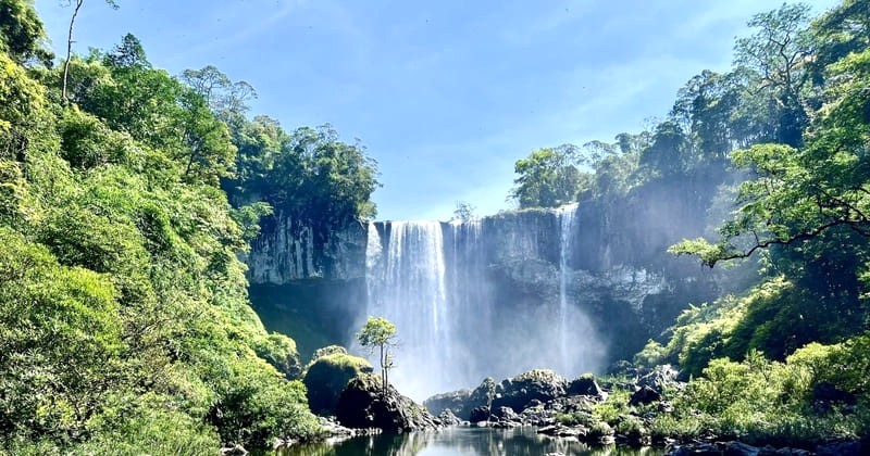 Kon Chư Răng: Khu bảo tồn thiên nhiên lớn ở Tây Nguyên.