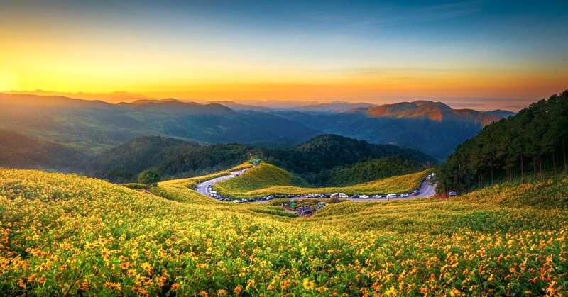 Du lịch Mae Hong Son, nhất định phải ghé Đồi Mae U Ko mùa vàng!