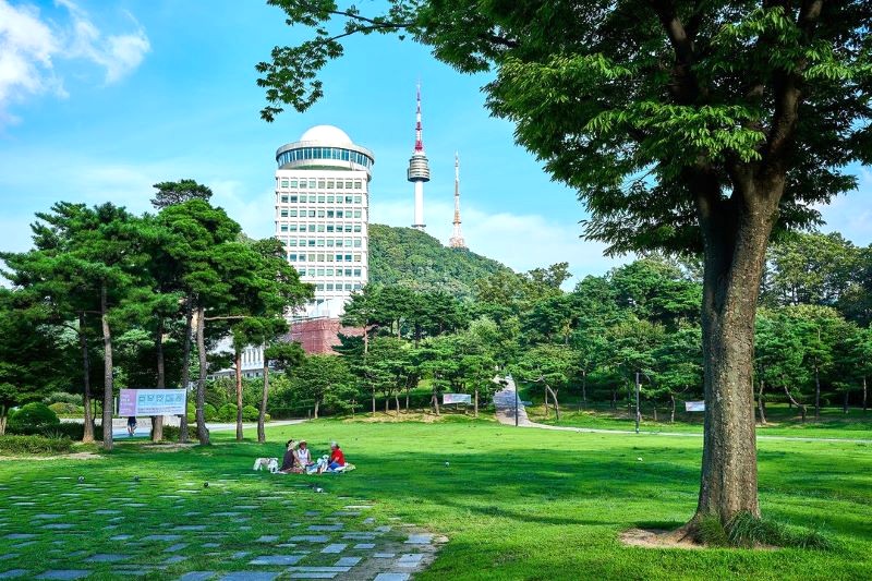 Namsan: Nơi lý tưởng cho cắm trại ngoài trời.