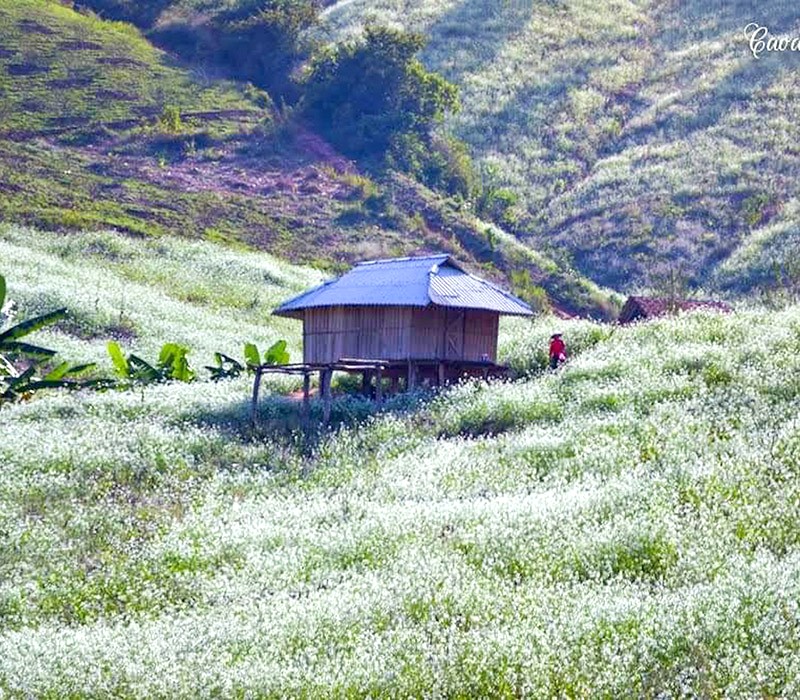 Bản Pa Phách biệt lập.