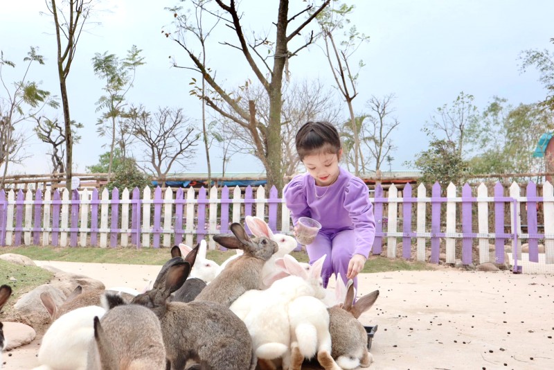 Yêu động vật? Vườn thú mini là điểm đến lý tưởng!