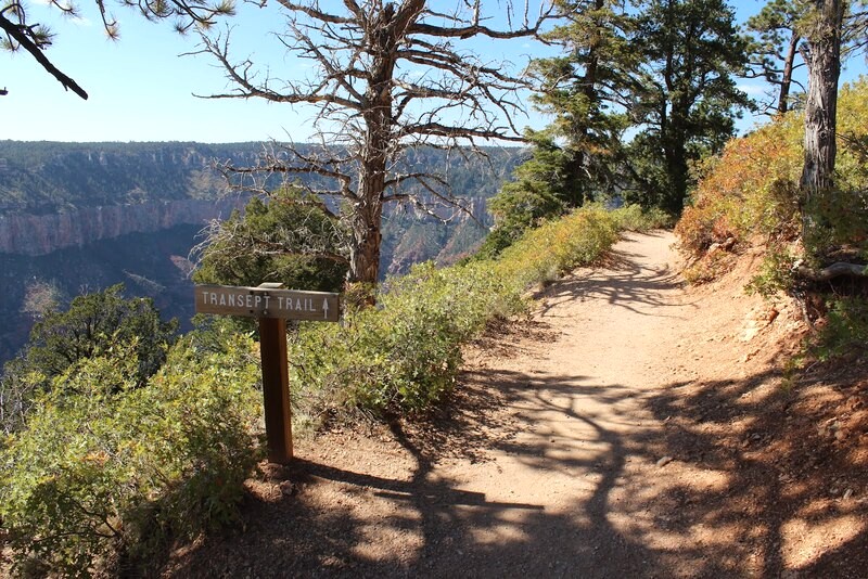 ## Transept Trail: Băng rừng, ngắm Grand Canyon.