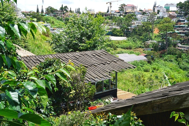 Cú Trên Cây: Làng bungalow gỗ xinh xắn.