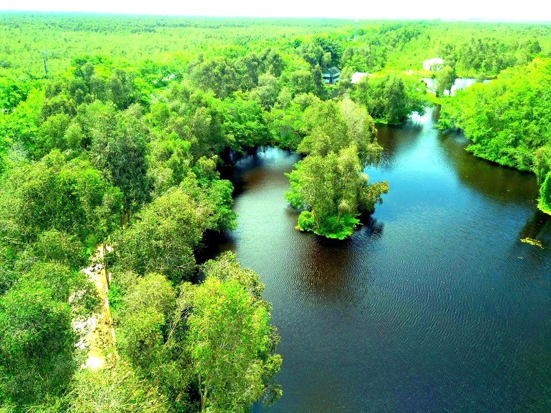 Vườn quốc gia U Minh Thượng nổi tiếng với hệ sinh thái đa dạng, độc đáo và nhiều loài đặc hữu.