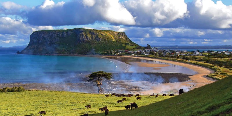 Tasmania: Nét đẹp thanh bình, như thiên nhiên vẽ nên.