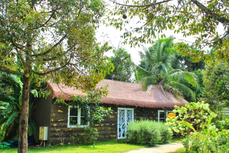 Homestay gỗ mộc mạc, giữa thiên nhiên thơ mộng. (Ảnh: Thảo Thiện Garden)