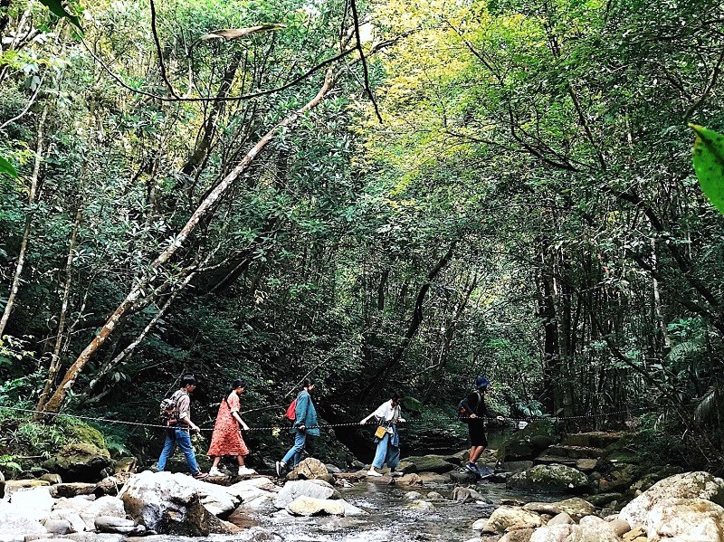 Trekking Bạch Mã: Đường dài, cần thể lực tốt.