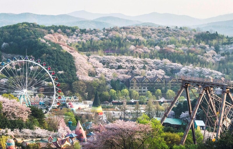 Nhiều cách để mua vé Everland.