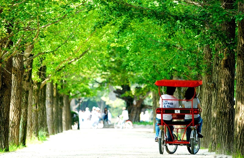 Nami: Hoàn hảo cho kỳ nghỉ lãng mạn.