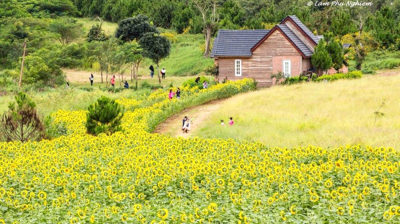 Đà Lạt Milk Farm: Thơ mộng giữa thiên nhiên (Ảnh: Lam Phu Nghiem)