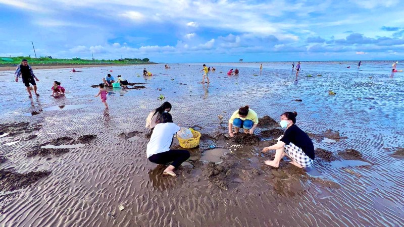 Cào hến Tân Thành, trải nghiệm thú vị!