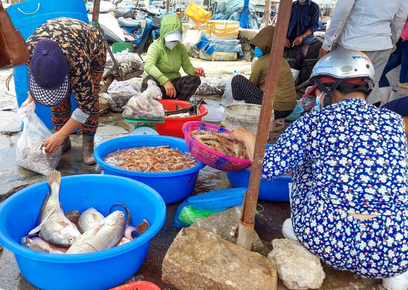 Hải sản Nha Trang: Mắt đẹp, vị ngon!