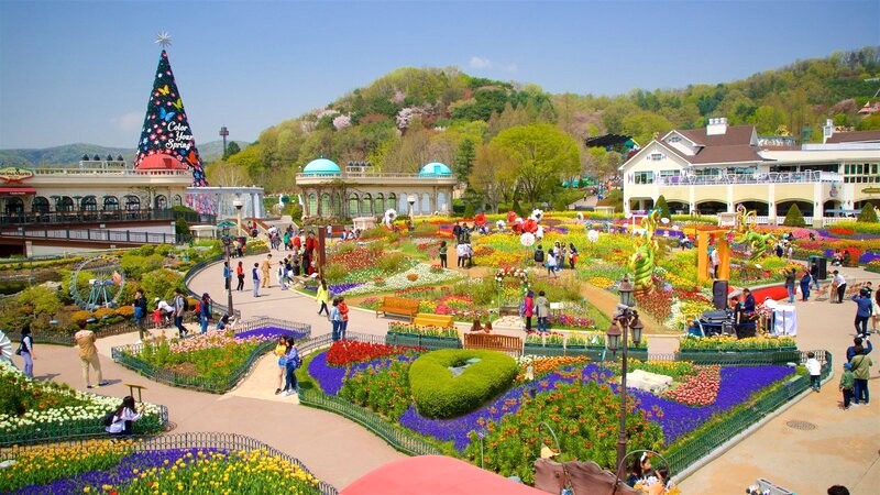 Everland, công viên giải trí nổi tiếng của Hàn Quốc, nằm gần trung tâm Seoul, thuận tiện cho du khách.