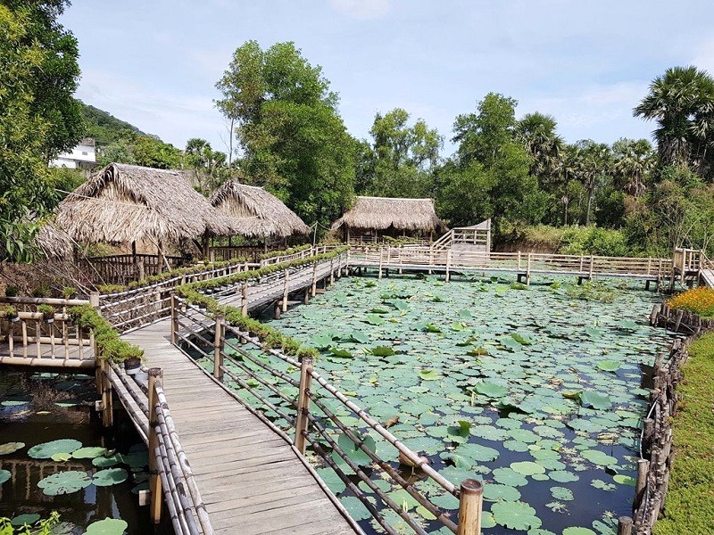 Hồ sen thơ mộng, nét đẹp Nam Bộ.