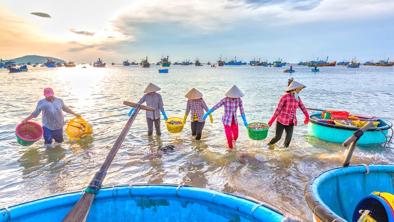 Ngư dân trở về sau đêm lênh đênh.