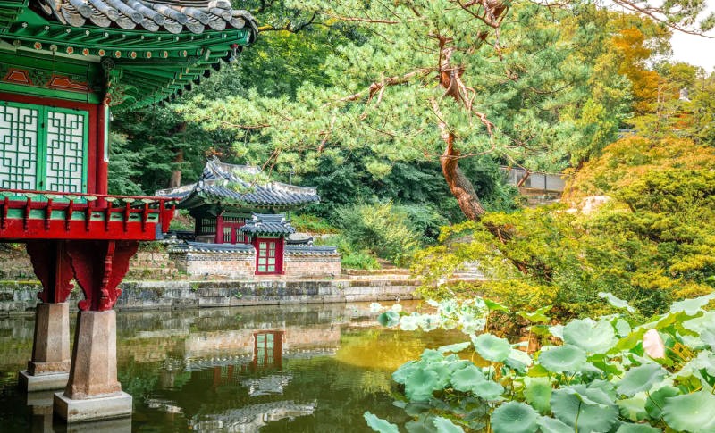 Changdeokgung, sau hành trình gian nan, chào đón bạn bằng vẻ đẹp uy nghi.