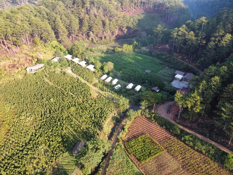 Twin Beans Farm, một tấm thảm xanh mướt từ trên cao.