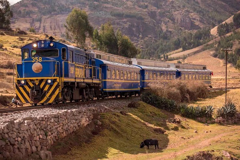 Tàu lửa là phương tiện lý tưởng đến Machu Picchu.