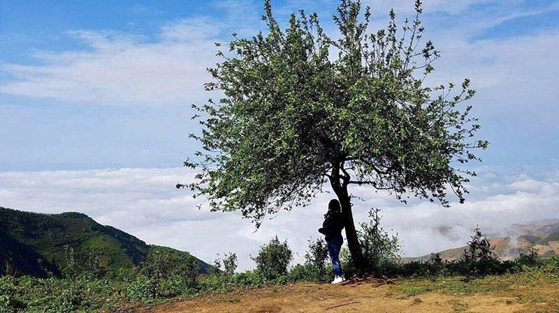 May mắn, bạn có thể săn được biển mây.