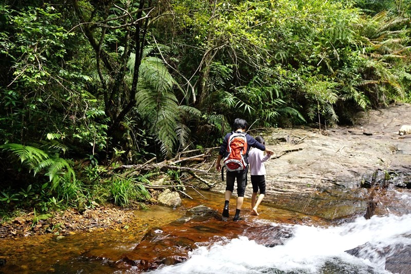 Trekking, tắm suối, glamping - trải nghiệm tuyệt vời!