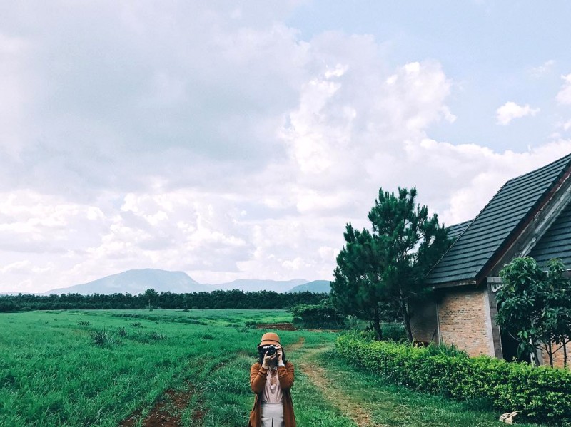 Đà Lạt Milk Farm: khung cảnh đẹp ngỡ ngàng.