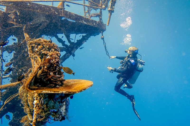 Lặn khám phá xác tàu HTMS Chang ở Koh Chang.