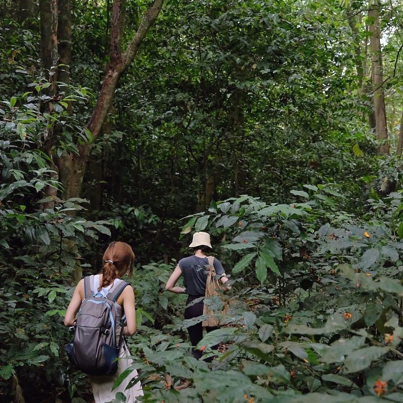 Trekking xuyên rừng thu hút giới trẻ.