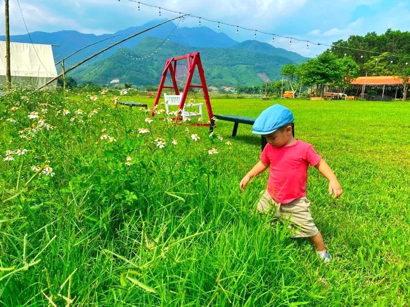 Thảm cỏ xanh mướt, xích đu, bàn ghế, lều trại... tạo nên không gian yên bình.