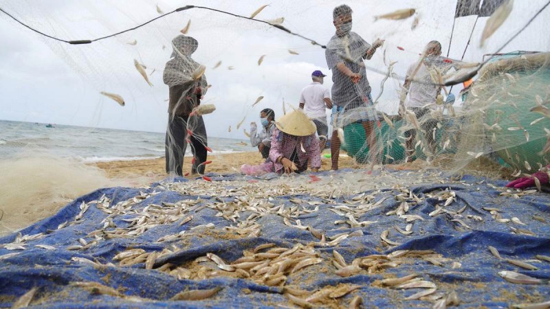 Khơi lưới đầy cá tôm.