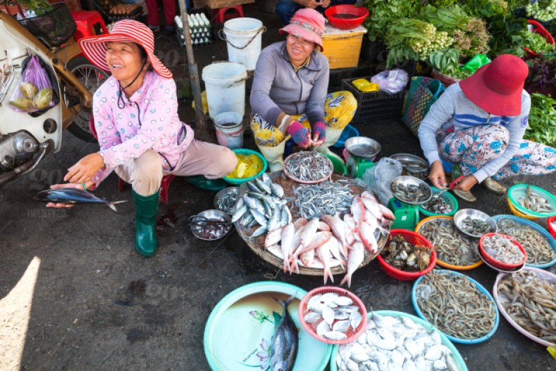 Nha Trang hiện lên sống động qua nhịp sống thường ngày của người dân.