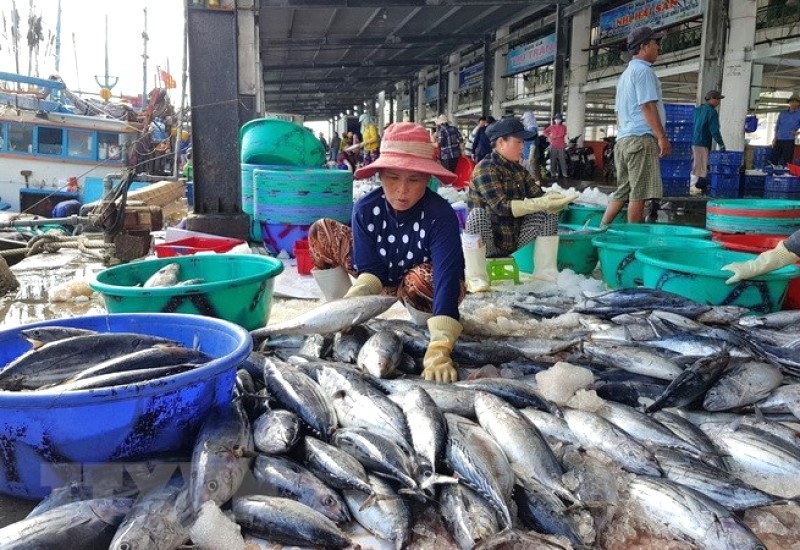 Cá ngừ, cá nục, cá thu là sản lượng đánh bắt chính.