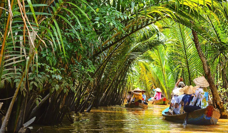 Tiền Giang, ghé Cù Lao Thới Sơn, ngắm dừa xanh, sông nước miền Tây.